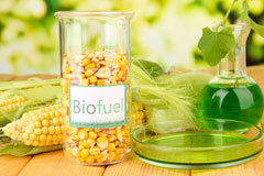 Treuddyn biofuel availability