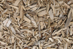 biomass boilers Treuddyn